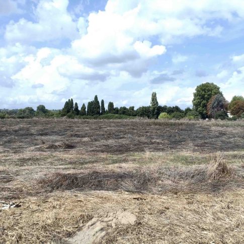 Frange Agricole – Nîmes Frange Agricole - Nîmes