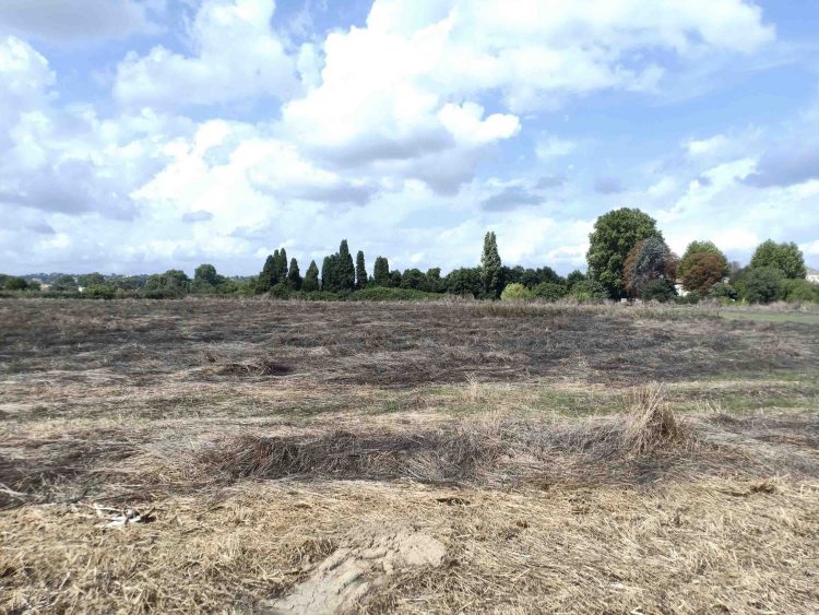 Frange Agricole - Nîmes