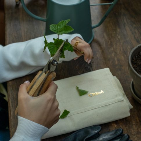 Jardin Chloé Jardin Chloé