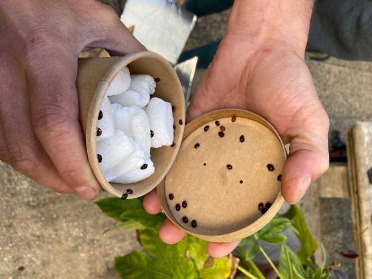 Hôtel des Grands Boulevards