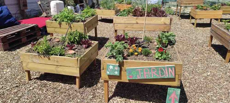 Jardin ambulant - Villeneuve-St-Georges