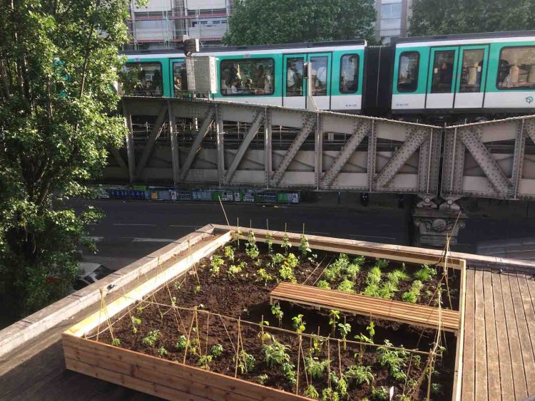 Le Grand Marché de Stalingrad