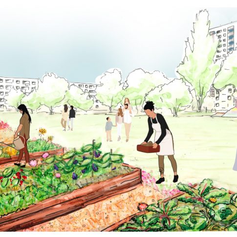 Agriculture Urbaine – Bordeaux