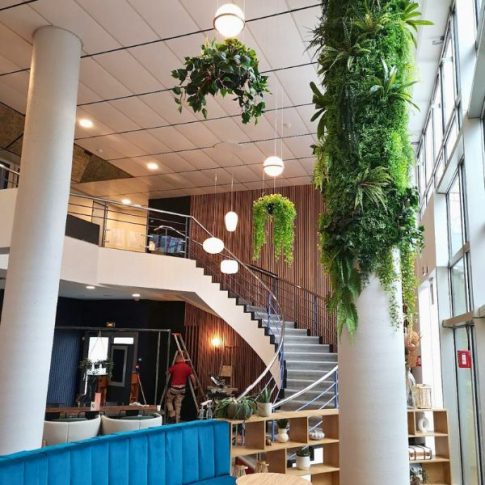 couv Hall Mercure