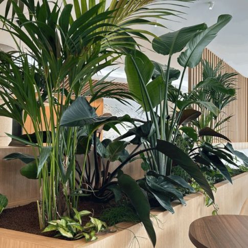 couv Maslo jardinière